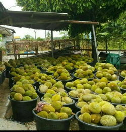 2020年香港食品贸易资讯概览 1144家批发及零售商户数据解析