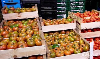 华南农产品交易中心 2019年下半年水果蔬菜行业四大趋势与食用农产品零售新动向